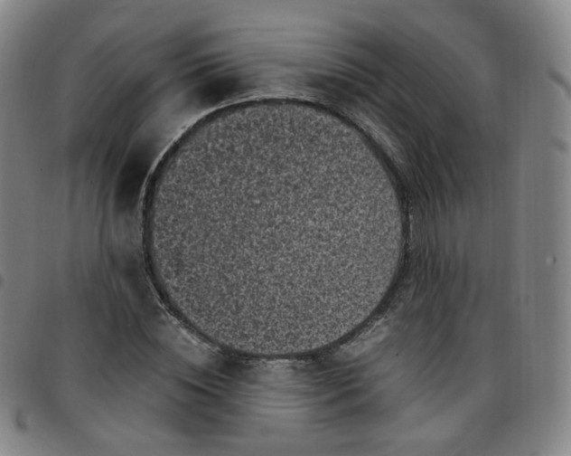 X0000097500828200803071800