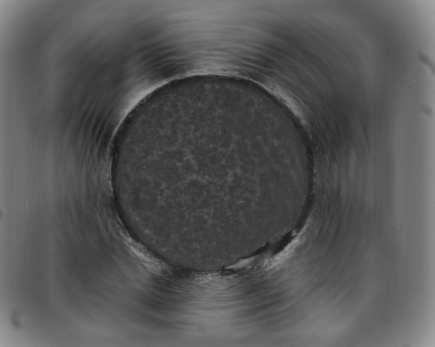 X0000097500830200803071800