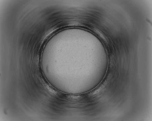 X0000097500831200803071800