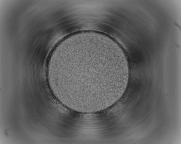 X0000097500832200803071800