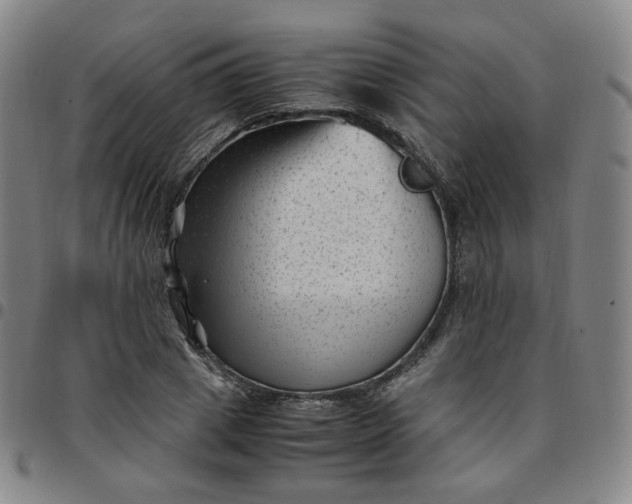 X0000097500833200803071800