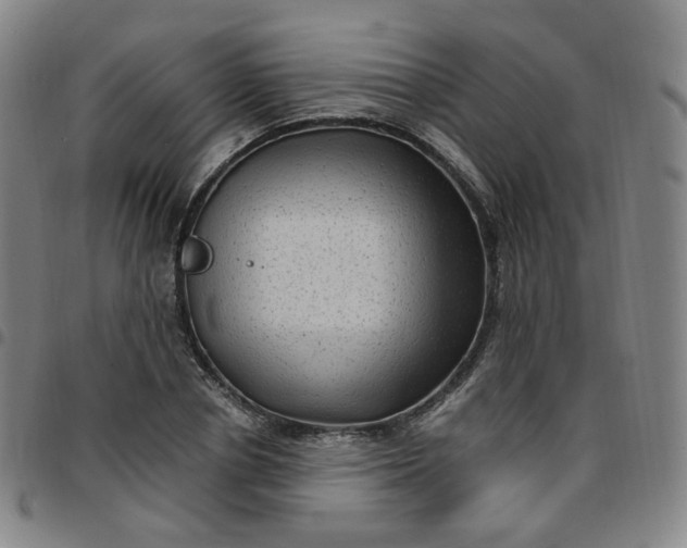 X0000097500834200803071800