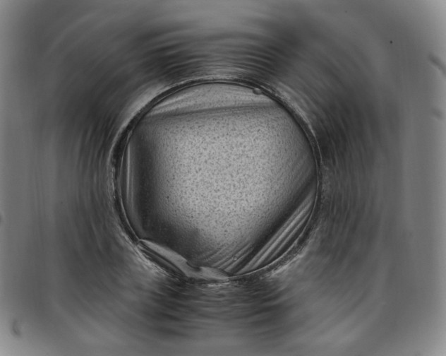 X0000097500835200803071800