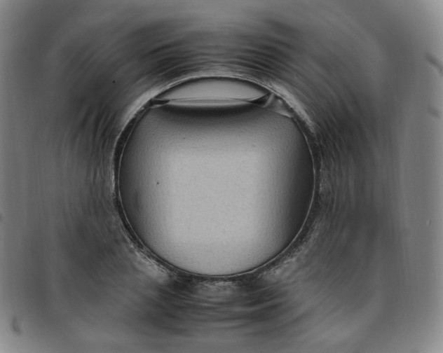 X0000097500837200803071800