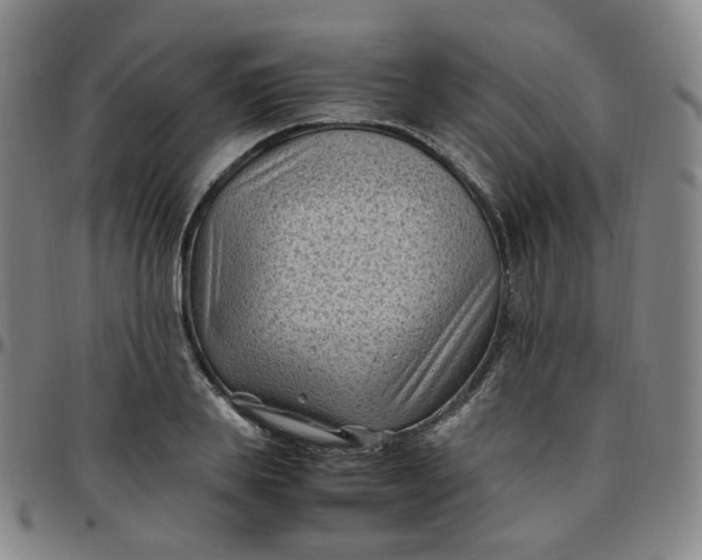 X0000097500839200803071800
