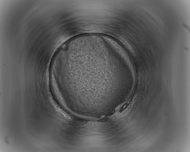 X0000097500840200803071800