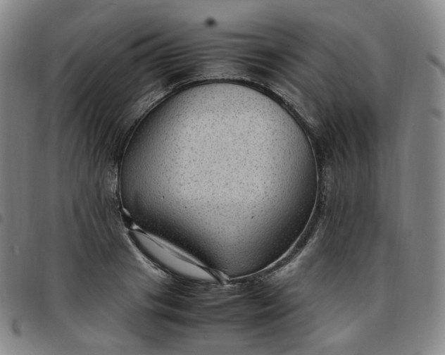 X0000097500841200803071800