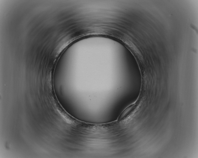 X0000097500842200803071800