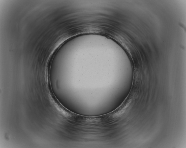 X0000097500843200803071800
