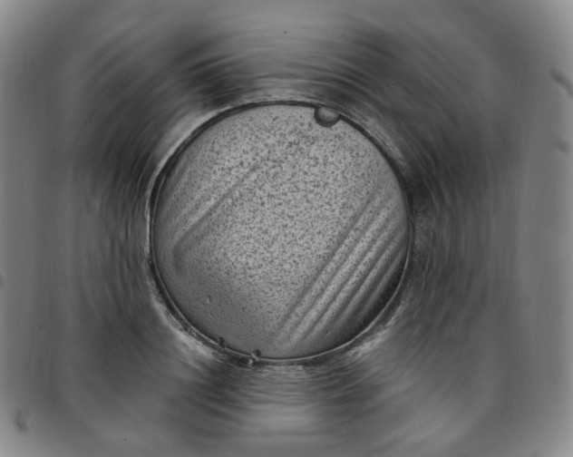 X0000097500844200803071800