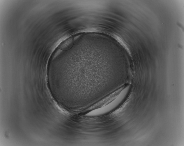 X0000097500845200803071800