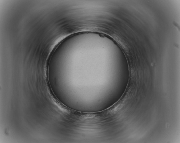 X0000097500846200803071800
