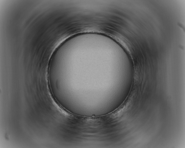 X0000097500847200803071800