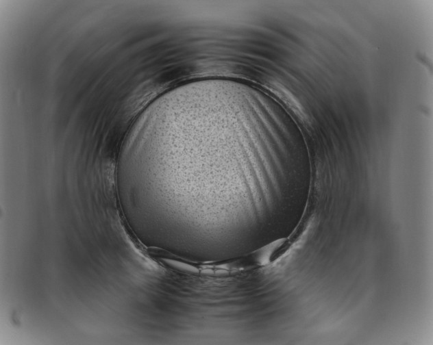 X0000097500849200803071800