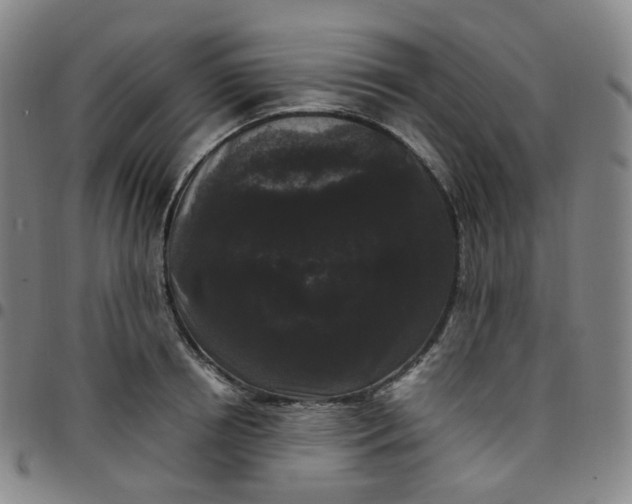 X0000097500850200803071800