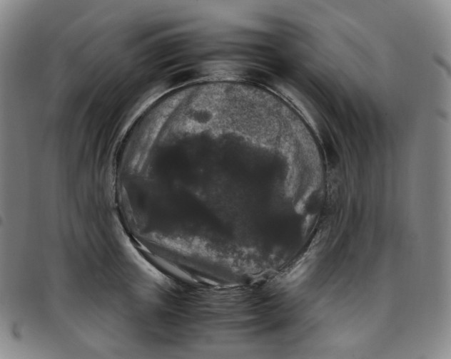 X0000097500851200803071800