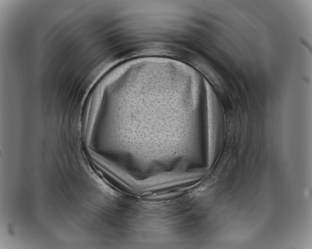 X0000097500852200803071800