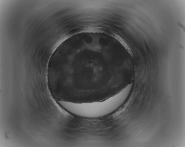 X0000097500853200803071800