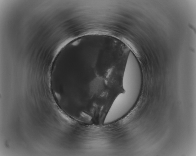 X0000097500854200803071800