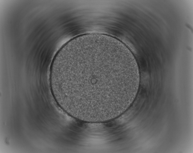 X0000097500856200803071801