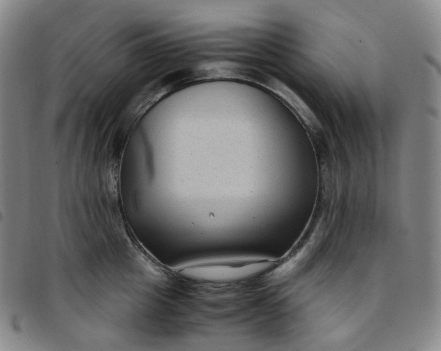 X0000097500857200803071801