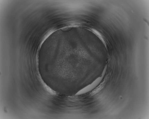 X0000097500859200803071801
