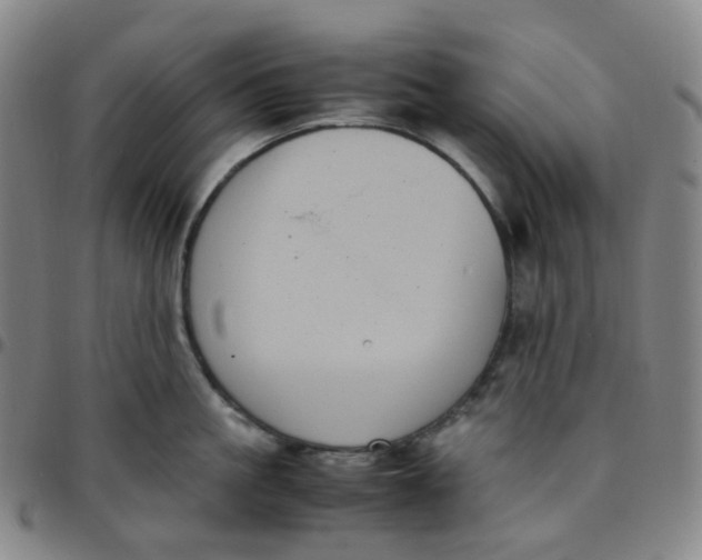 X0000097500861200803071801