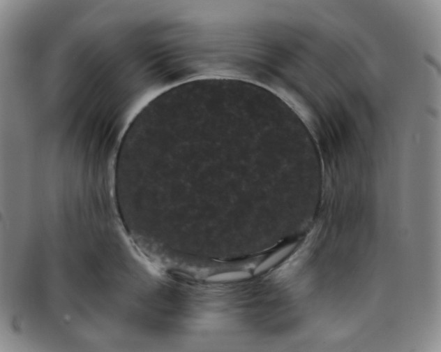 X0000097500862200803071801