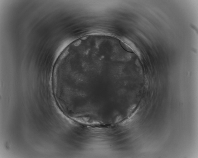 X0000097500863200803071801