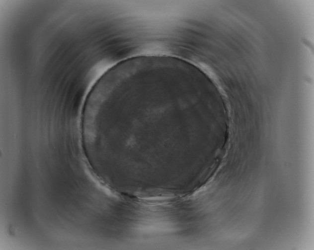 X0000097500864200803071801