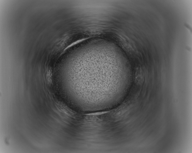 X0000097500866200803071800