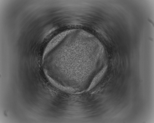 X0000097500870200803071800