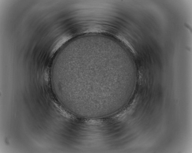 X0000097500874200803071800