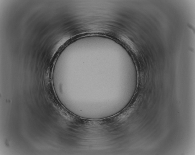 X0000097500875200803071800