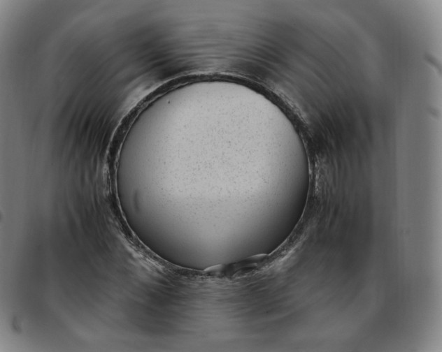 X0000097500876200803071800