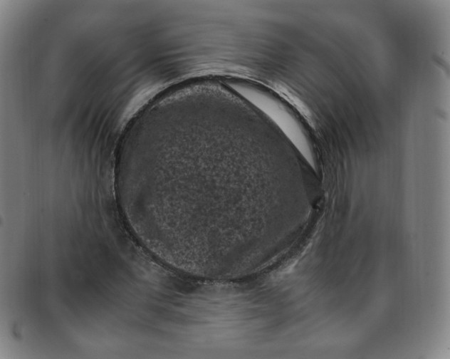 X0000097500877200803071800
