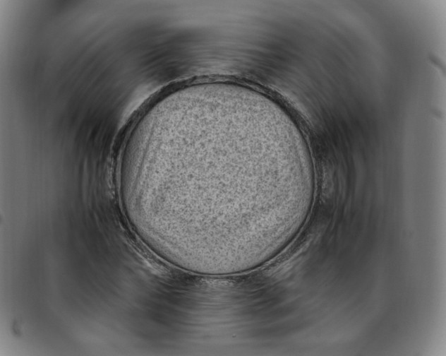 X0000097500878200803071800