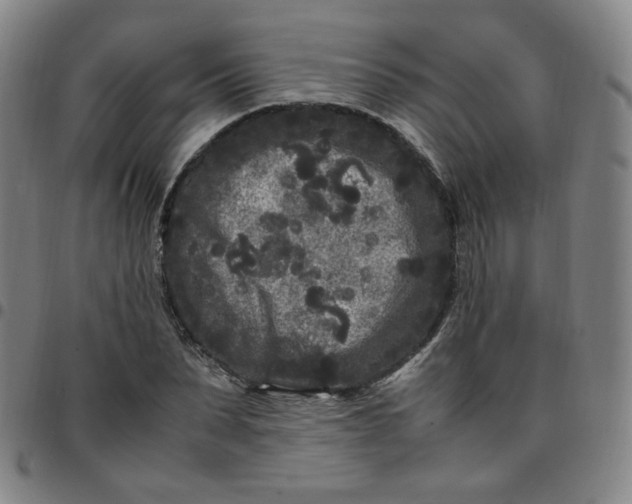 X0000097500879200803071800