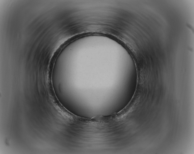 X0000097500880200803071800