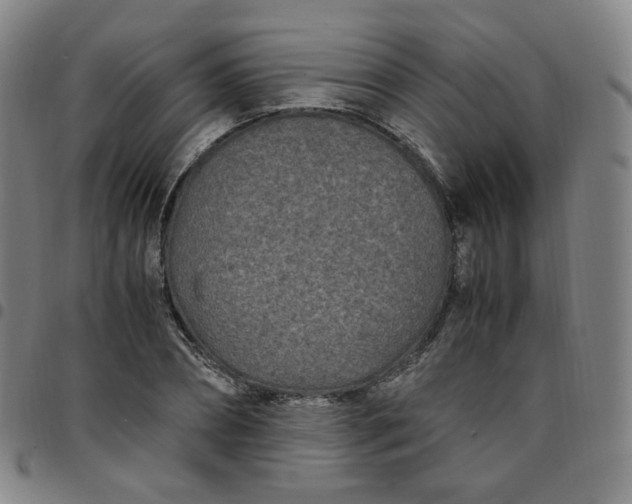 X0000097500882200803071800