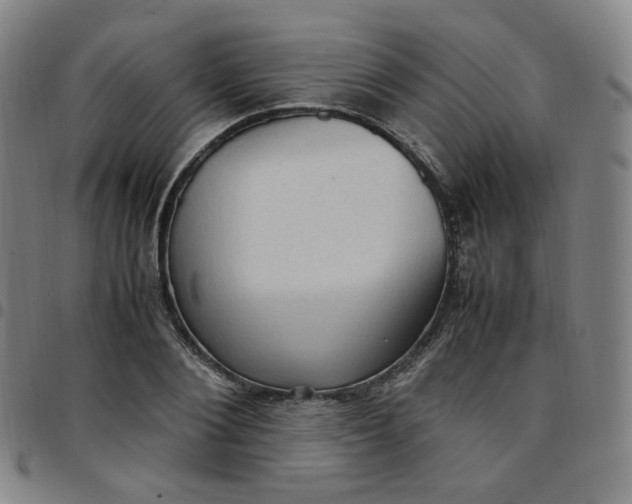 X0000097500884200803071759