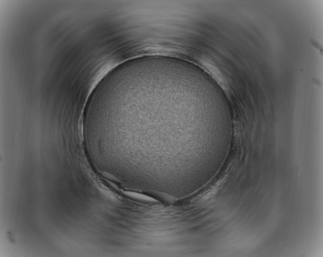 X0000097500891200803071759