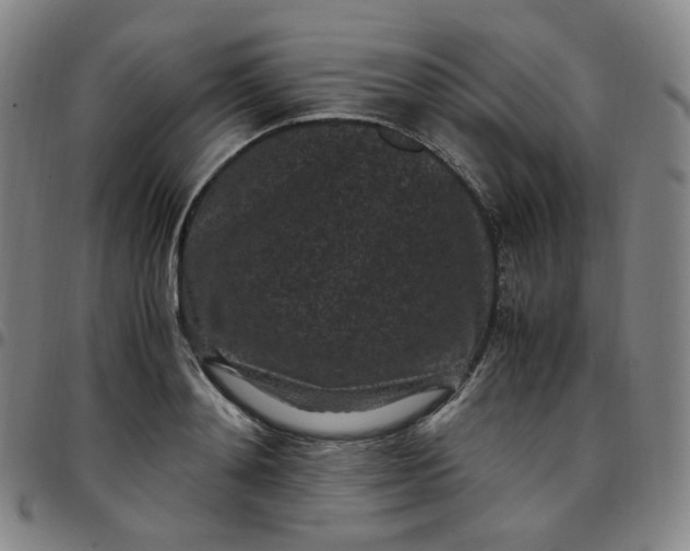 X0000097500892200803071759