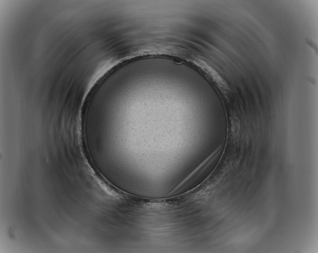 X0000097500894200803071759