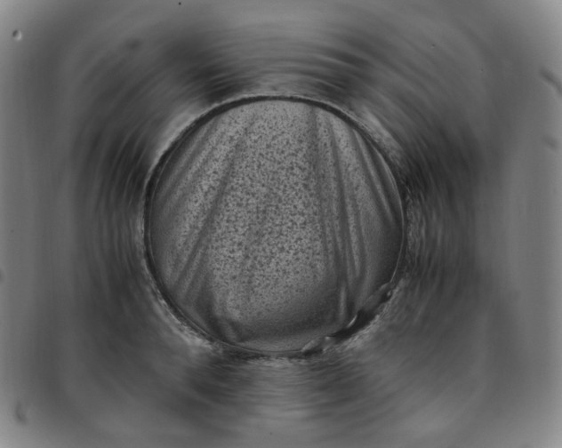 X0000097500896200803071759