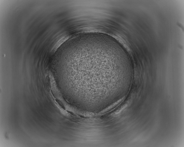 X0000097500897200803071759