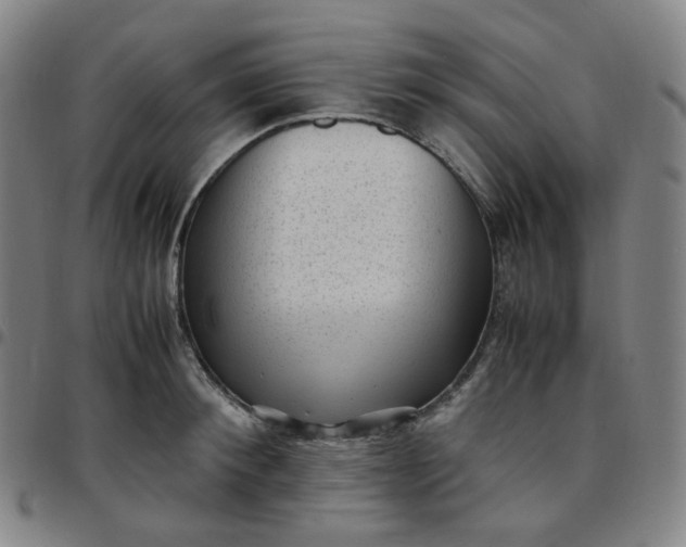 X0000097500900200803071759