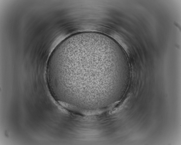 X0000097500901200803071759