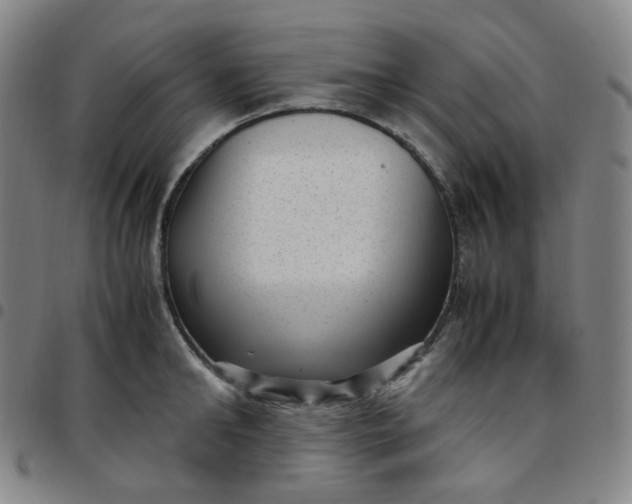 X0000097500902200803071759