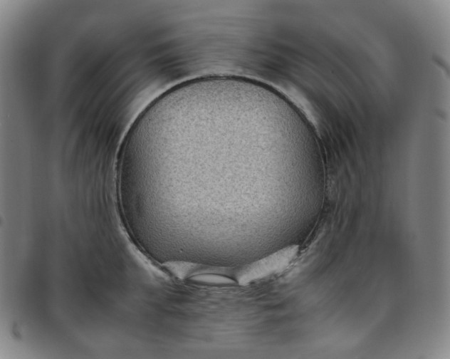 X0000097500903200803071759